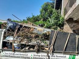 Best Estate Cleanout  in Le Mars, IA